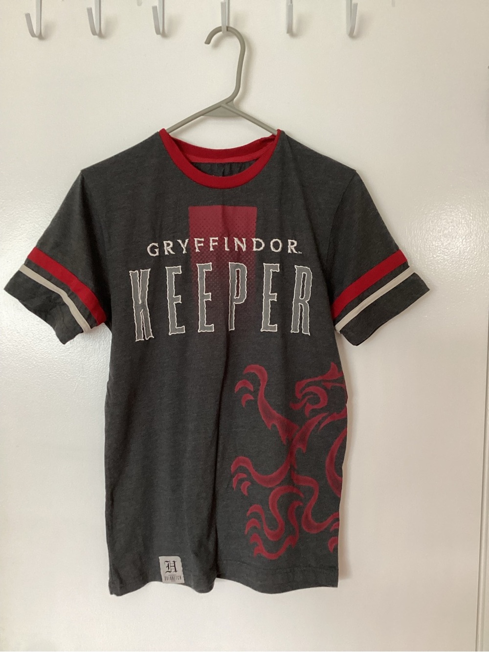 Adult Small HARRY POTTER Gryffindor Quidditch Short Sleeve Tee Charcoal